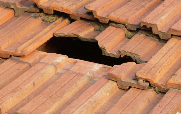 roof repair Glenduckie, Fife